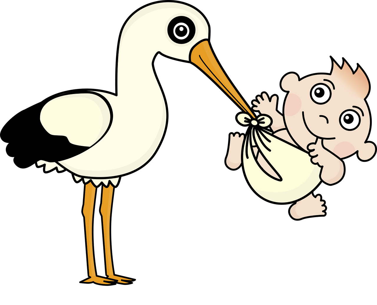 stork, baby, child